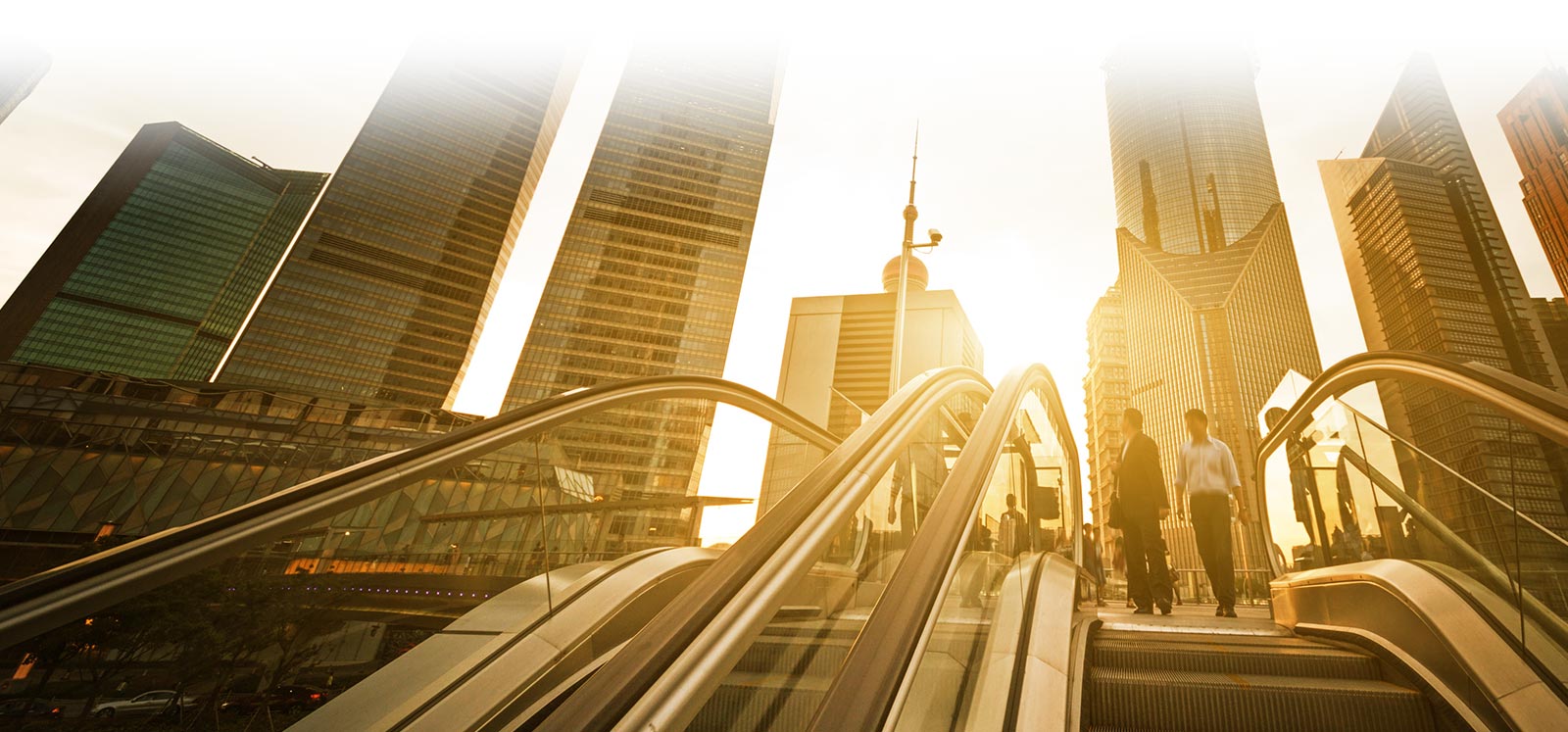 Skyline of Skyscrapers Image