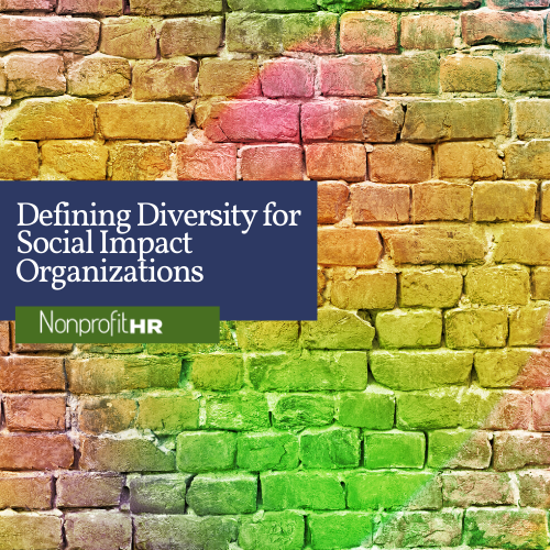 Defining Diversity for social impact organizations