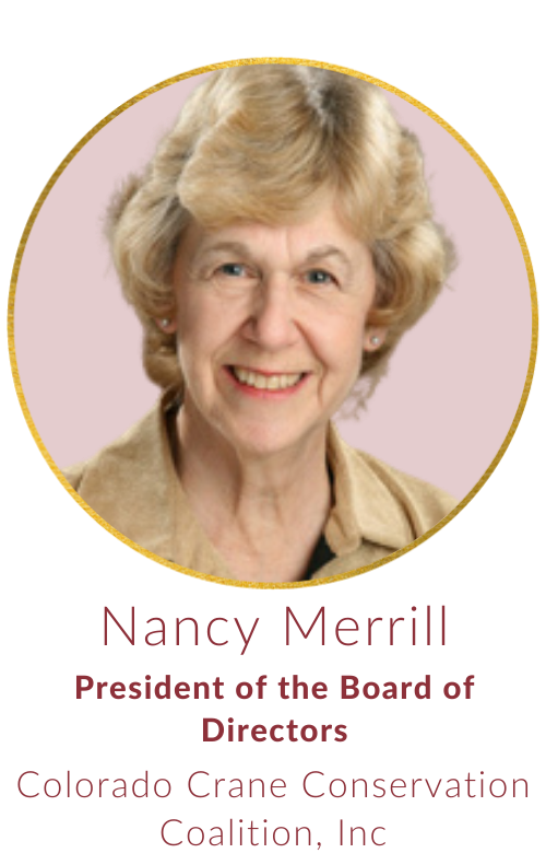 Nancy Merrill Headshot