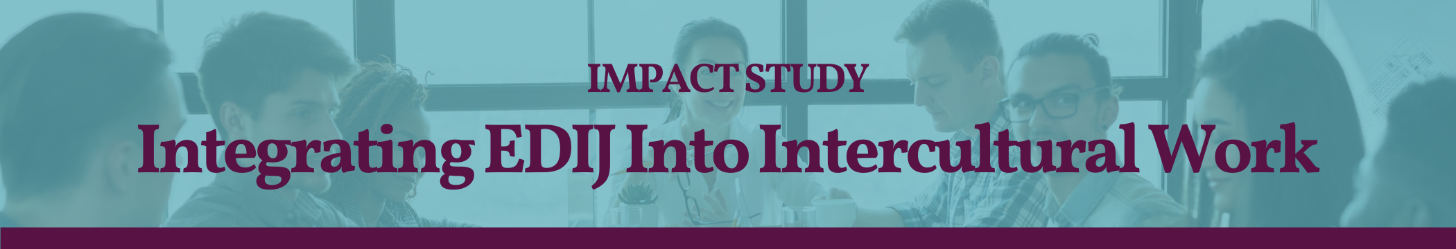 Impact study - Integrating EDIJ into intercultural work
